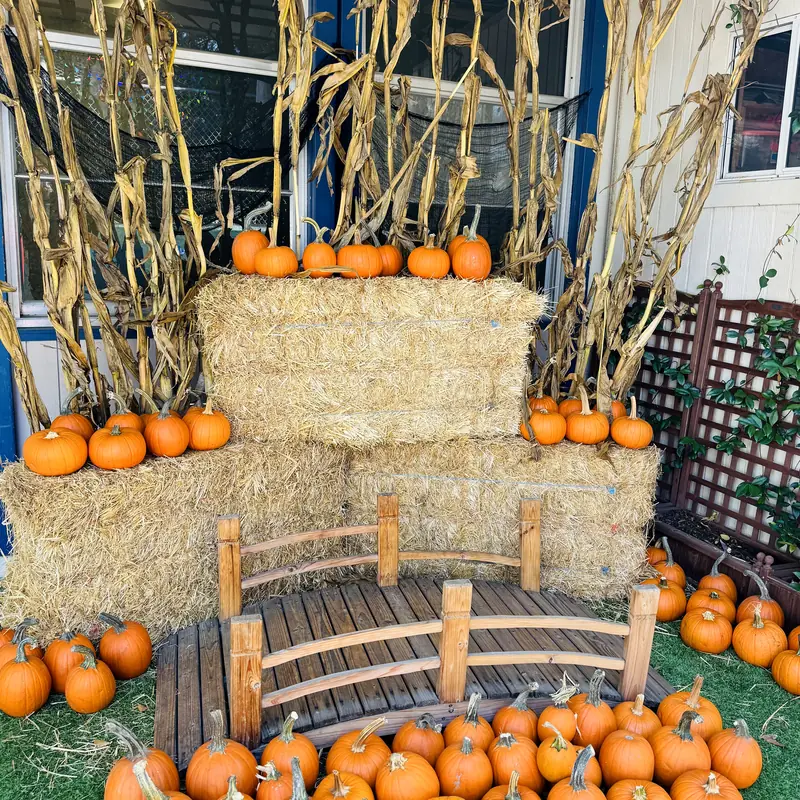 Fall photo spot at Building Kidz San Jose with hay bales, corn stalks, pumpkins and a small wooden bridge